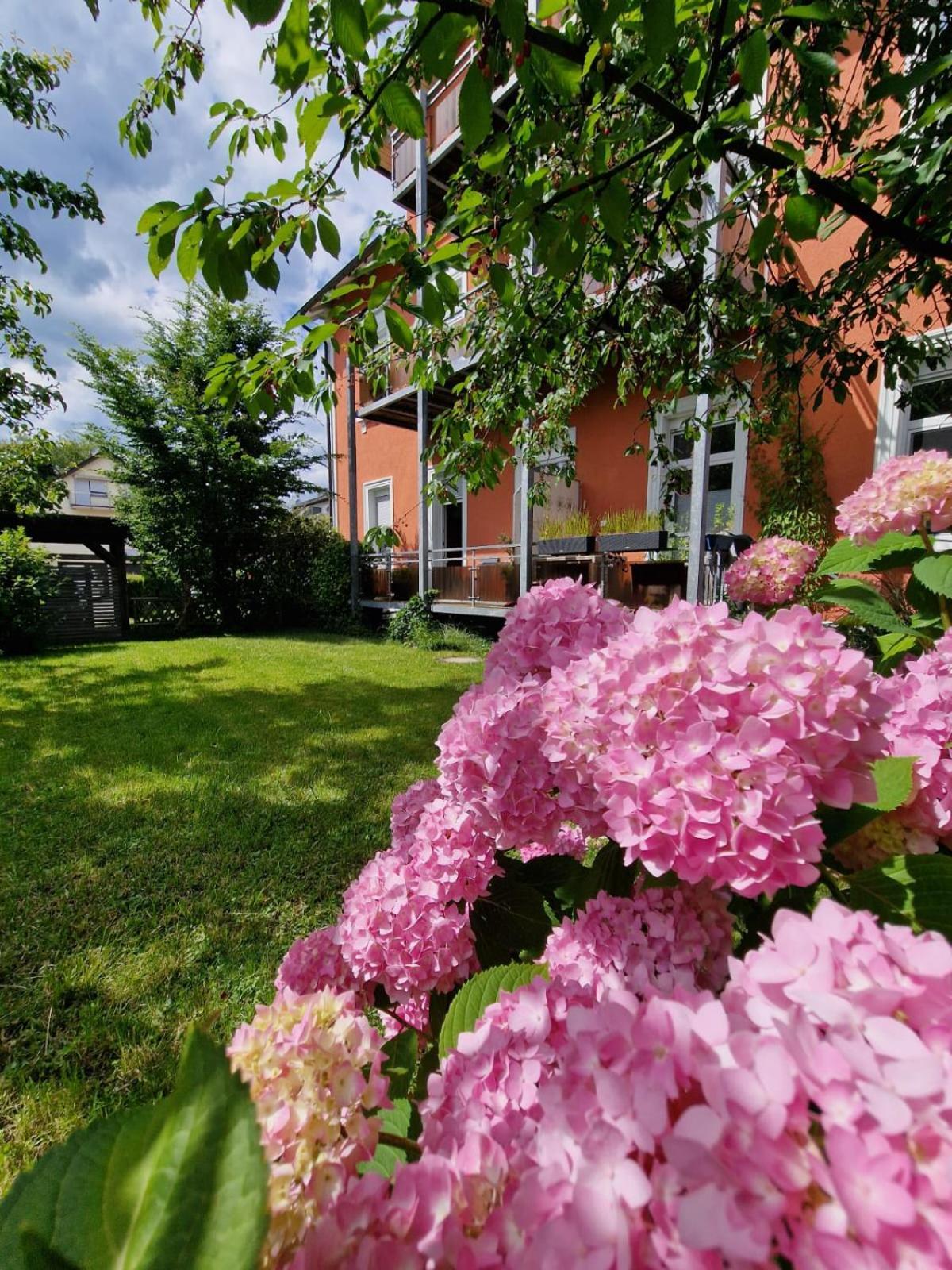 Appartement 24 Lindau  Exterior foto